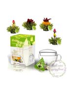Creano virágzó tea szett csészével és 8 db virágzó zöld teával