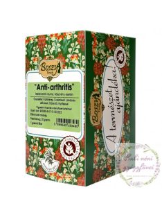 Gyógyfű Anti-arthritis filteres tea