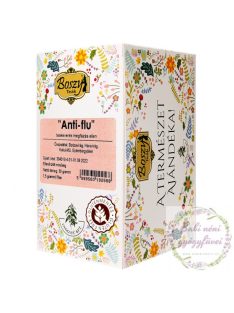 Gyógyfű Anti-flu filteres tea