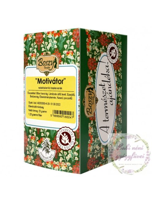 Gyógyfű Motivátor filteres tea