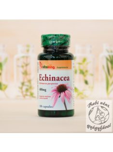 Vitaking Echinacea-Bíbor kasvirág