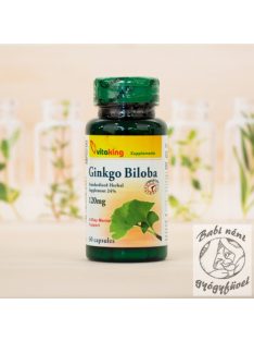 Vitaking Ginkgo Biloba TR 120mg (60)